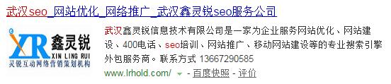 第五名武汉SEO公司1